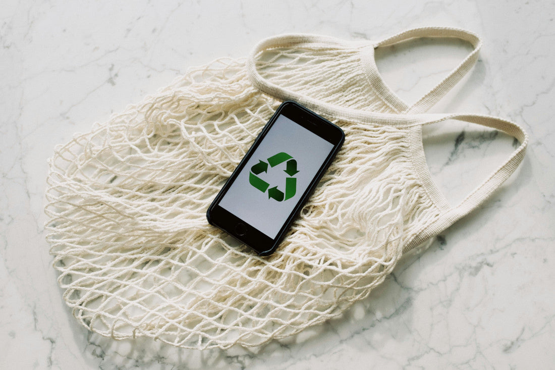 Sustainability & Individuality